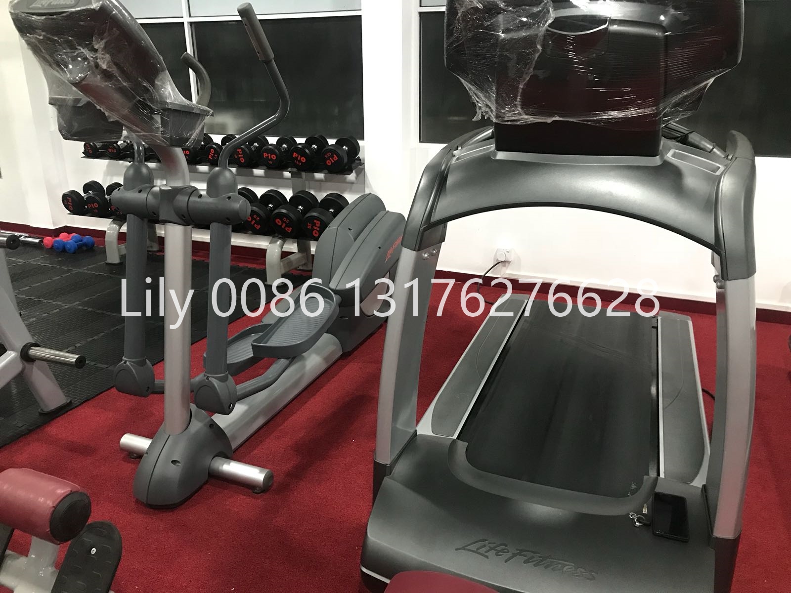 Shandong Power World Fitness Equipment CO., LTD.,Commercial Fitness Equipment,Gym Equipment,Strength