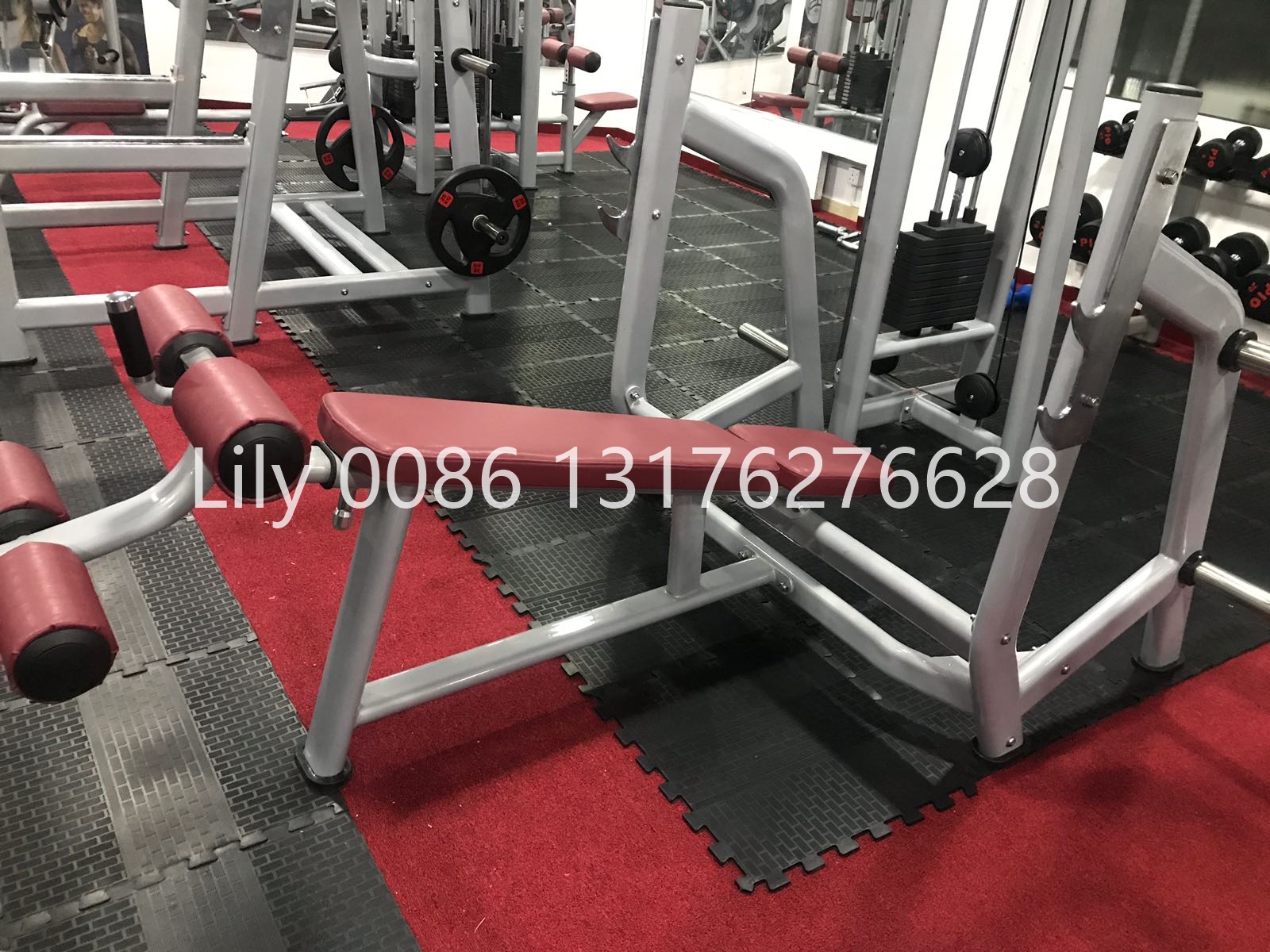 Shandong Power World Fitness Equipment CO., LTD.,Commercial Fitness Equipment,Gym Equipment,Strength