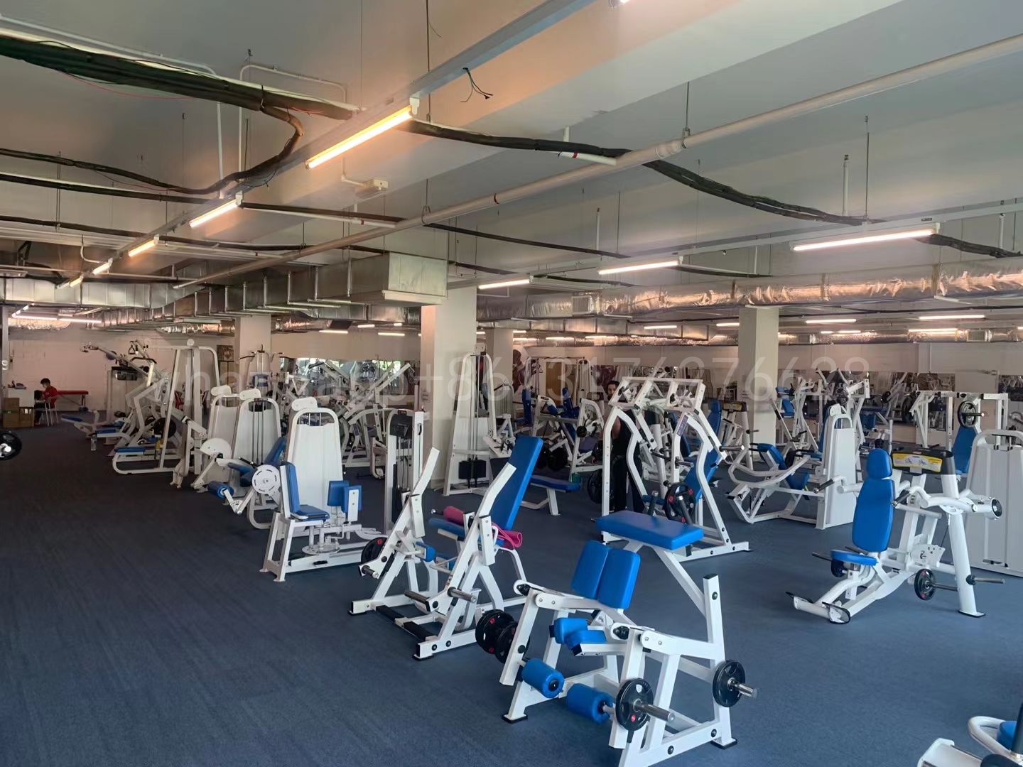 Shandong Power World Fitness Equipment CO., LTD.,Commercial Fitness Equipment,Gym Equipment,Strength