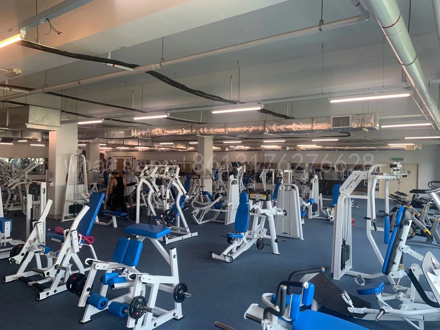 Shandong Power World Fitness Equipment CO., LTD.,Commercial Fitness Equipment,Gym Equipment,Strength