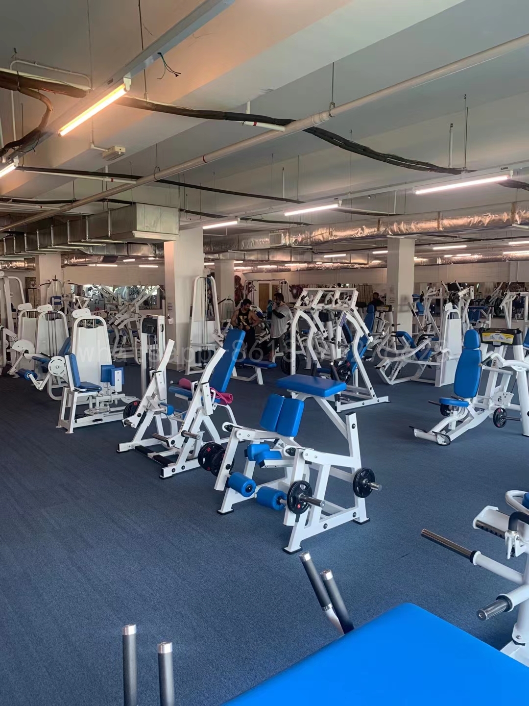Shandong Power World Fitness Equipment CO., LTD.,Commercial Fitness Equipment,Gym Equipment,Strength
