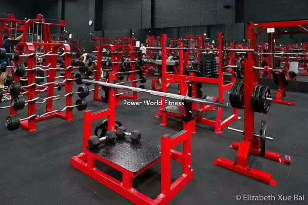 Power World Fitness Equipment Rouse Honor RH serie