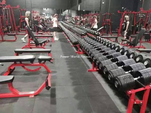 Power World Fitness Equipment Rouse Honor RH serie