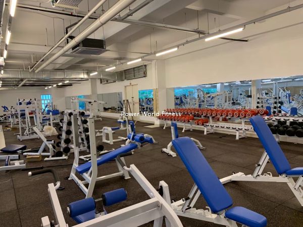 Shandong Power World Fitness Equipment CO., LTD.,Commercial Fitness Equipment,Gym Equipment,Strength