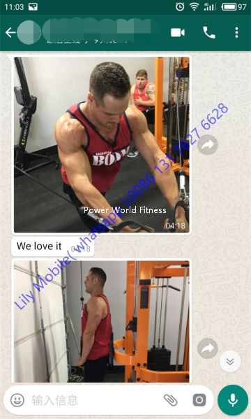 Shandong Power World Fitness Equipment CO., LTD.,Commercial Fitness Equipment,Gym Equipment,Strength