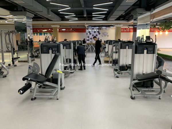 Shandong Power World Fitness Equipment CO., LTD.,Commercial Fitness Equipment,Gym Equipment,Strength equipment