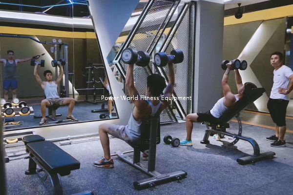 Shandong Power World Fitness Equipment CO., LTD.,Commercial Fitness Equipment,Gym Equipment,Strength equipment