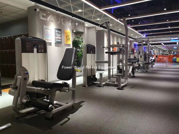 Shandong Power World Fitness Equipment CO., LTD.,Commercial Fitness Equipment,Gym Equipment,Strength equipment