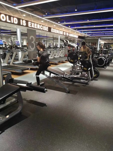 Shandong Power World Fitness Equipment CO., LTD.,Commercial Fitness Equipment,Gym Equipment,Strength equipment