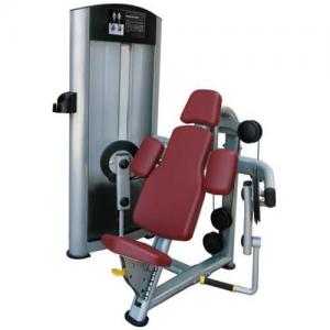 Power World Fitness Equipment Rouse Life RL series biceps curl China Fitness Equipment 