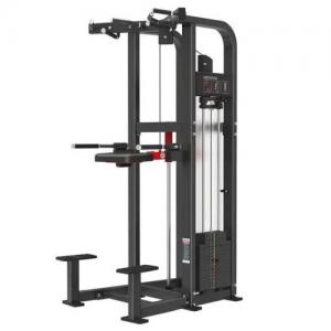 Power World Fitness Equipment Power Honor PH series Body Charger Fitness Equipment DIP CHIN ASSIS