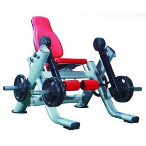 Power World Fitness Equipment Rouse Life RL series Sports Fitness Leg Extention