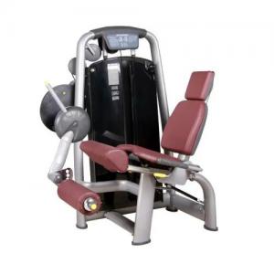 Power World Fitness Equipment Rouse Talent RT series Seated Leg Extension Gymnastics Equipment 